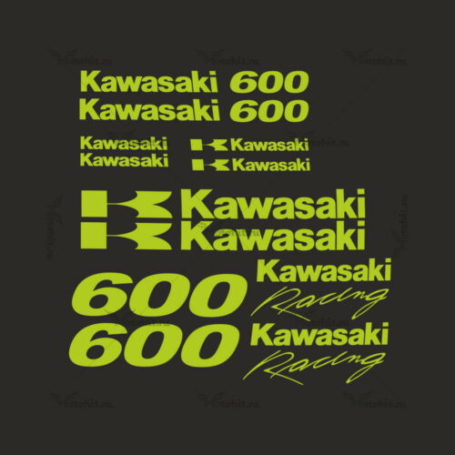 Комплект наклеек Kawasaki ZZR-600 3