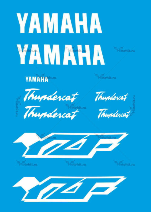 Комплект наклеек Yamaha YZF-600 2003 THUNDERCAT