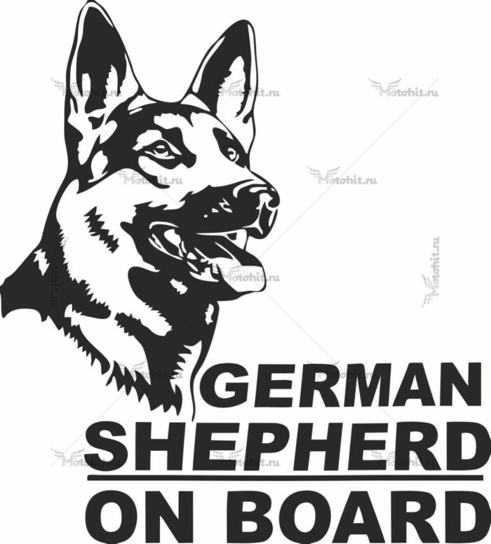 GERMAN SHEPARD ON BOARD
