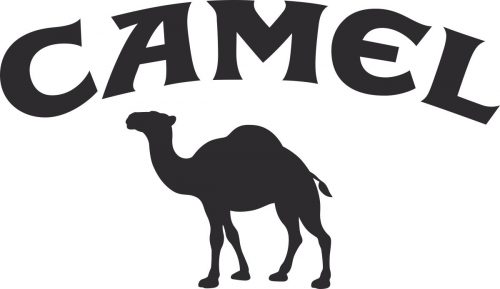 CAMEL 2