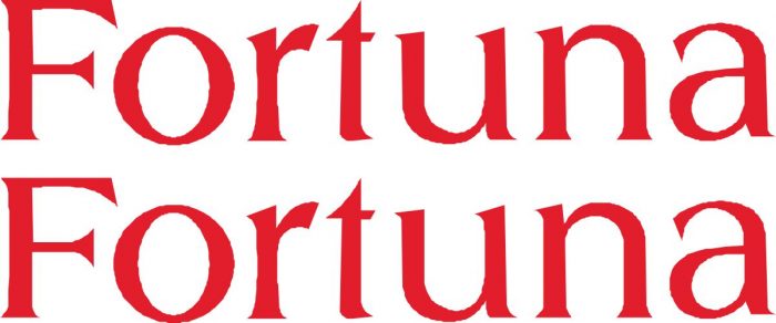 Наклейка логотип FORTUNA