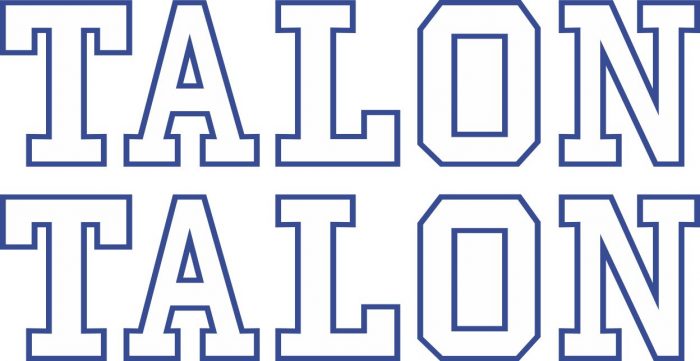 Наклейка логотип TALON