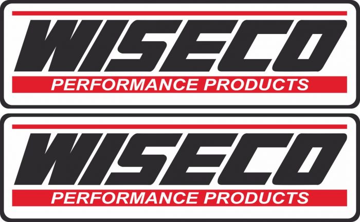 Наклейка логотип WISECO-2