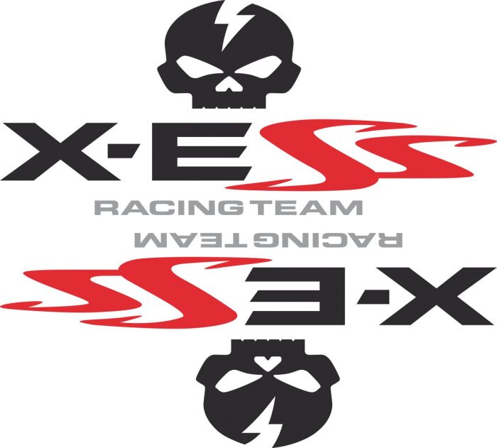 Наклейка логотип X-ESS
