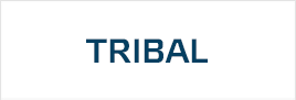 Наклейки Tribal