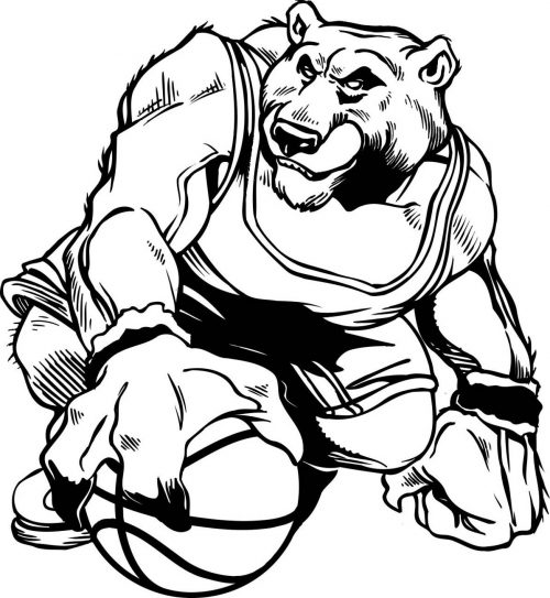BEAR-036