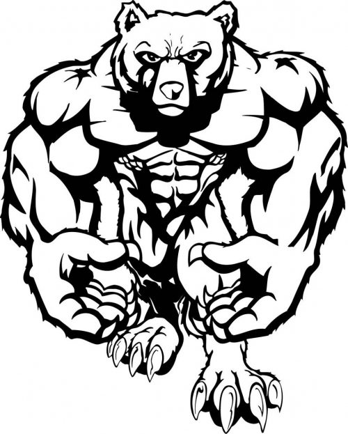BEAR-047