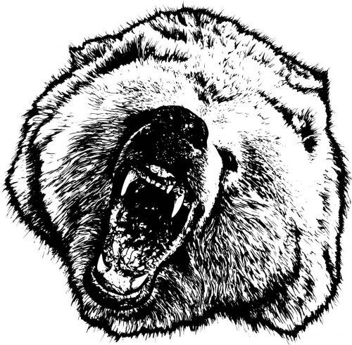 BEAR-049
