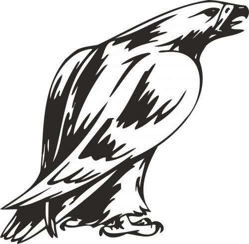 BIRD-PREDATOR-134