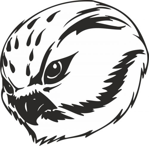 BIRD-PREDATOR-138
