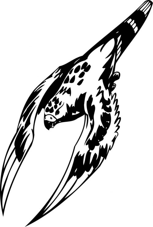 BIRD-PREDATOR-144