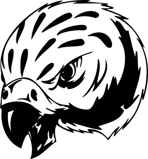 BIRD-PREDATOR-146