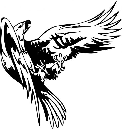 BIRD-PREDATOR-147