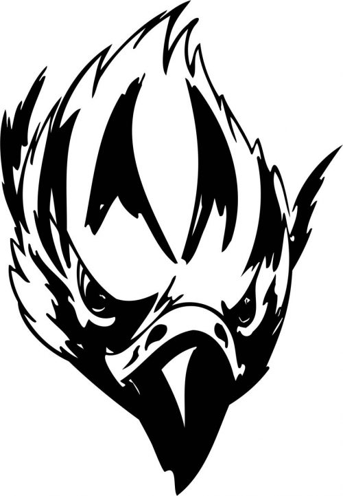 BIRD-PREDATOR-148