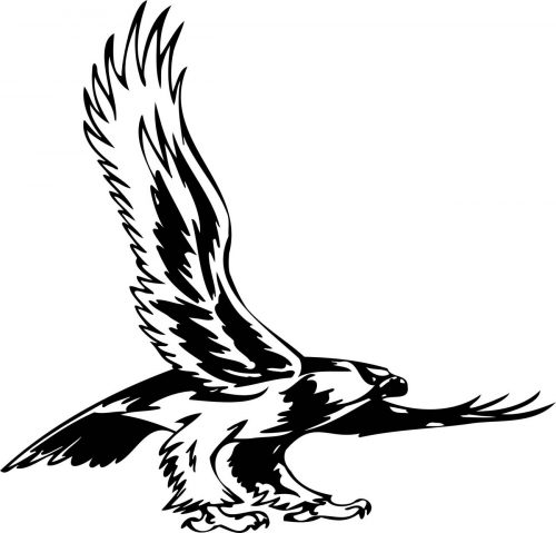 BIRD-PREDATOR-149
