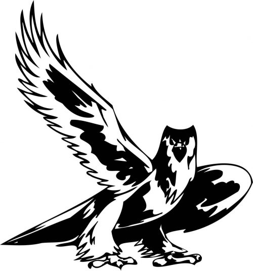 BIRD-PREDATOR-161