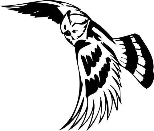 BIRD-PREDATOR-162
