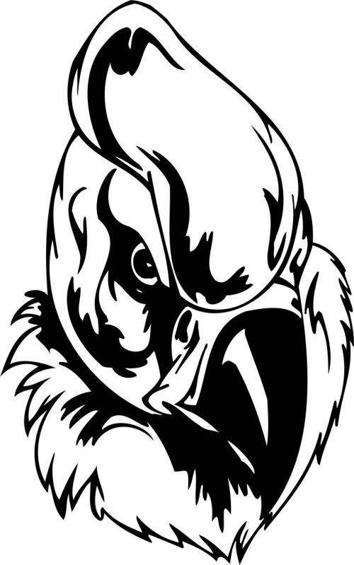 BIRD-PREDATOR-163