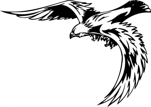 BIRD-PREDATOR-173
