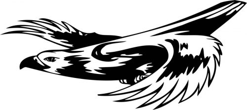 BIRD-PREDATOR-174