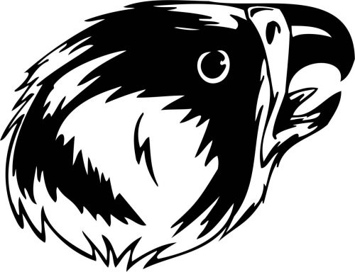 BIRD-PREDATOR-176