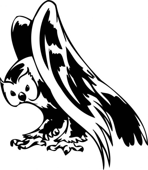 BIRD-PREDATOR-178