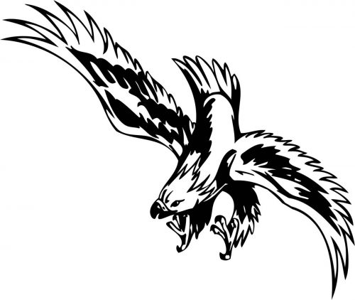 BIRD-PREDATOR-179