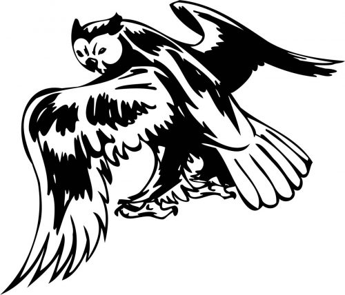 BIRD-PREDATOR-181