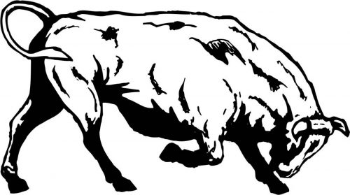 BULL-005