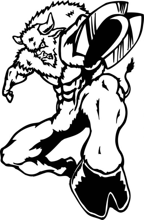 BULL-016