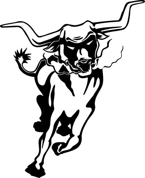BULL-031