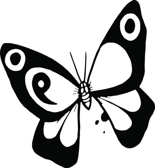 BUTTERFLY-469