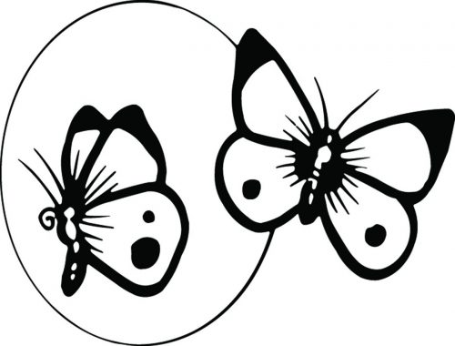 BUTTERFLY-475
