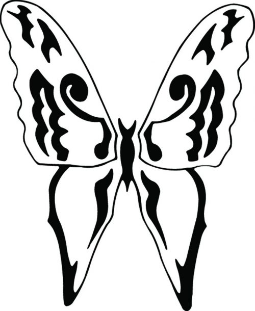 BUTTERFLY-476