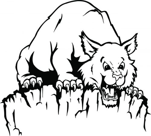 BIG-CAT-125