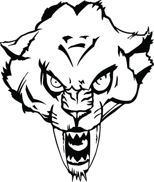 BIG-CAT-144