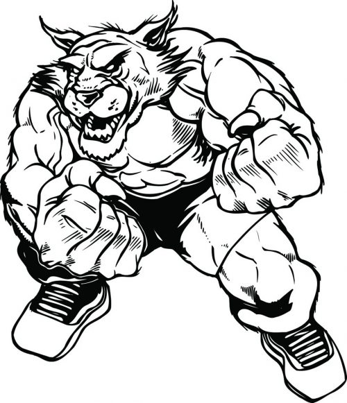 BIG-CAT-155