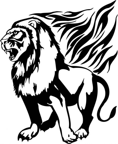 BIG-FLAMING-CAT-062