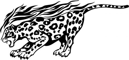 BIG-FLAMING-CAT-063