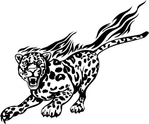 BIG-FLAMING-CAT-064