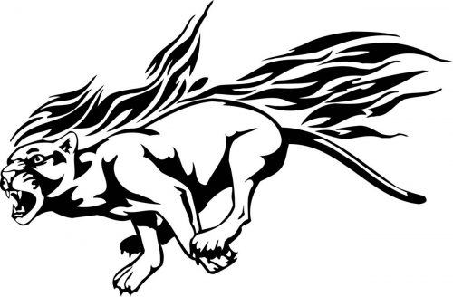 BIG-FLAMING-CAT-069
