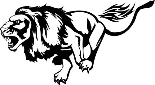 BIG-FLAMING-CAT-072