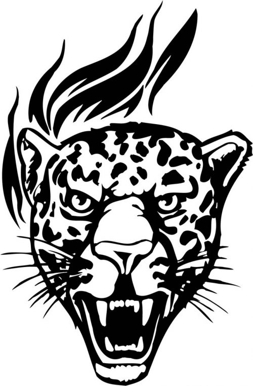 BIG-FLAMING-CAT-074