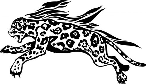 BIG-FLAMING-CAT-075