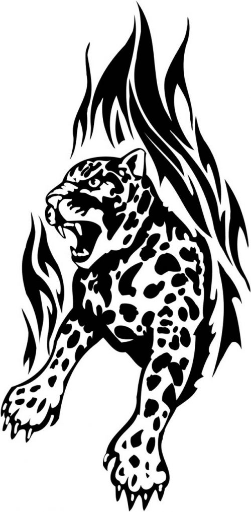 BIG-FLAMING-CAT-076