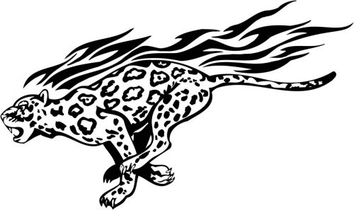 BIG-FLAMING-CAT-077