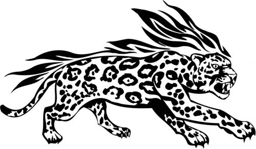 BIG-FLAMING-CAT-078