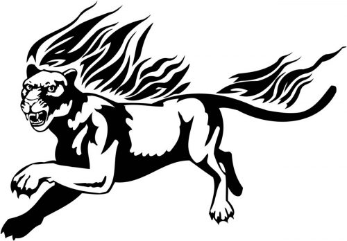 BIG-FLAMING-CAT-082