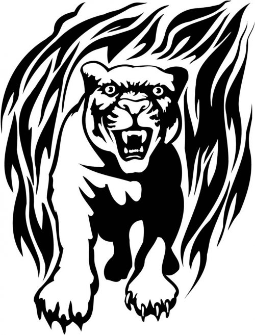 BIG-FLAMING-CAT-086