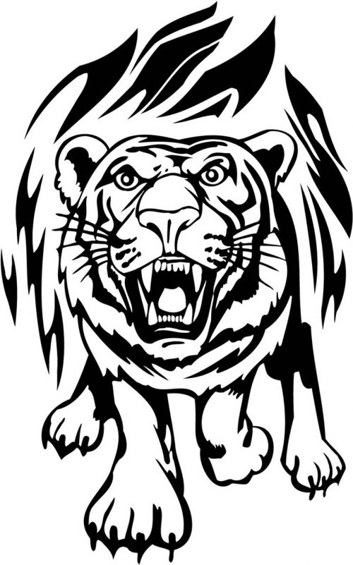 BIG-FLAMING-CAT-087